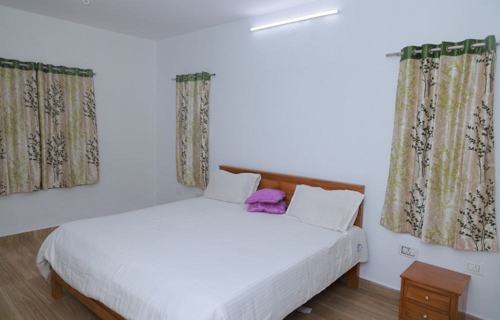 Gallery Pictures