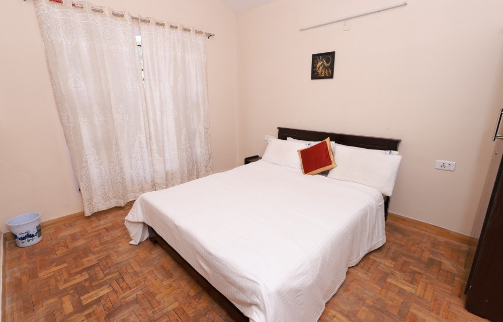 Gallery Pictures
